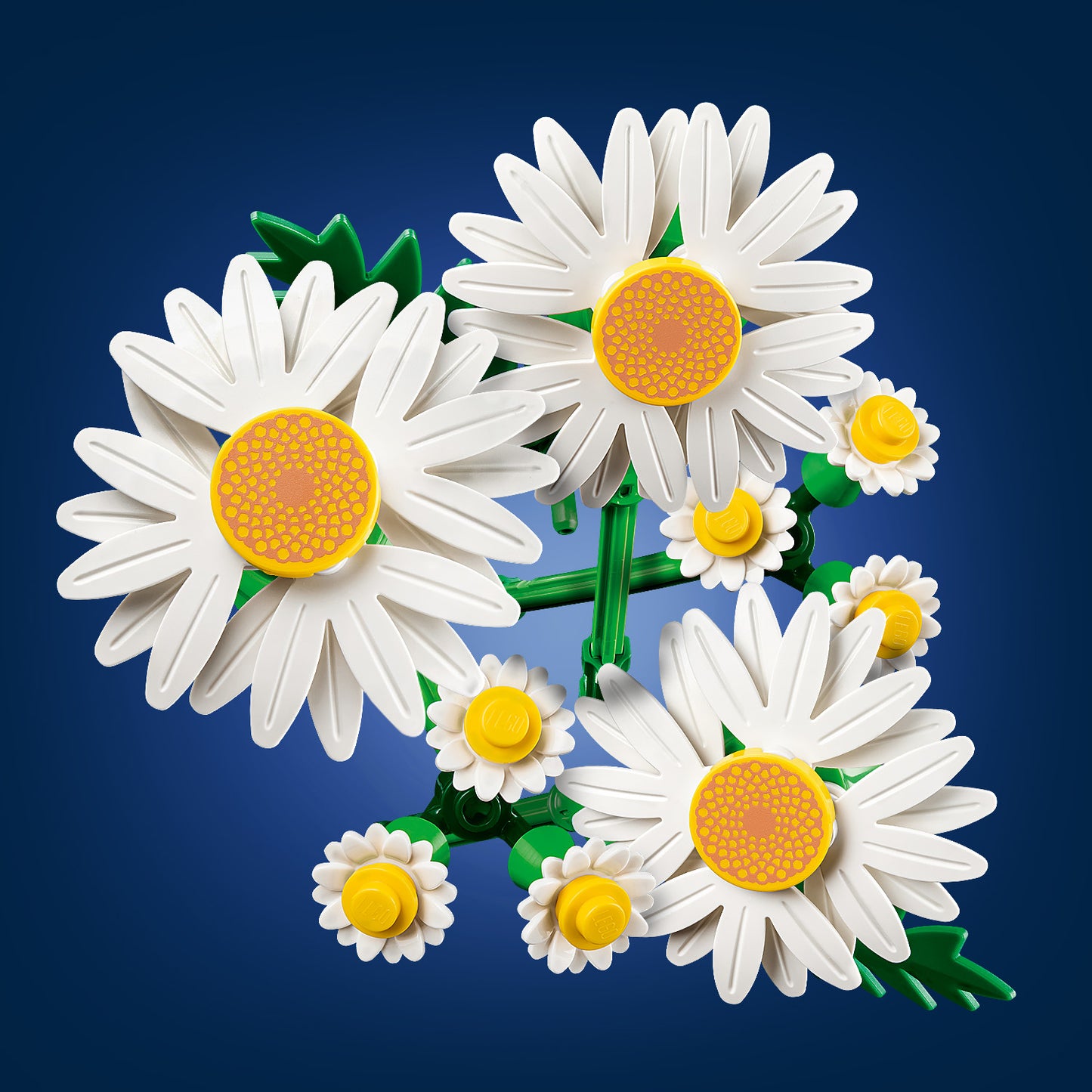 LEGO® Botanicals Madeliefjes - Decoratieve Bloemenset voor Kinderen - Cadeau voor Meisjes en Jongens 11508