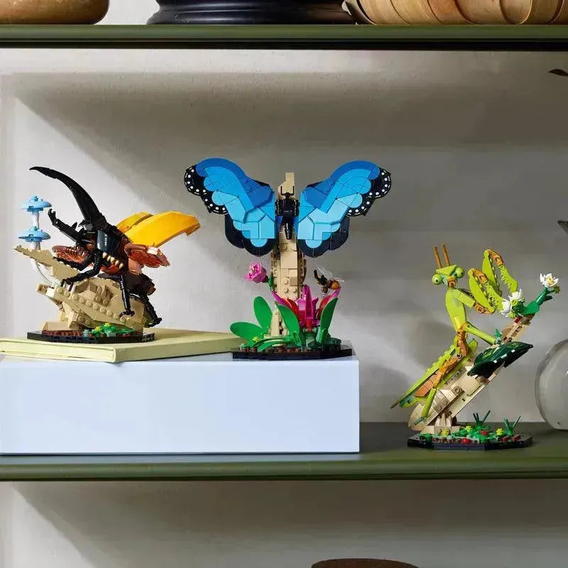 LEGO De insectencollectie 21342 Ideas LEGO IDEAS @ 2TTOYS LEGO €. 84.99