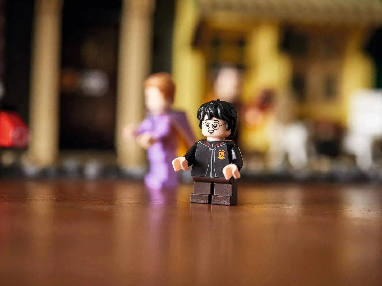 LEGO Gone Is Gone 75978 Harry Potter