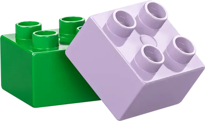 LEGO Creative Flower Garden 10444 DUPLO